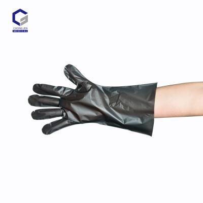 China Comfortable Waterproof Blue White Black Disposable Plastic Strip Gloves for sale