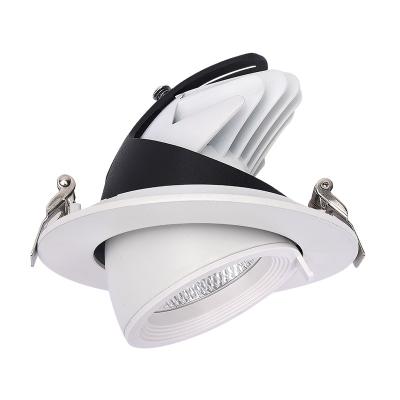 China Modern Enclosed Stretchable Elephant Trunk Light Rotate Rretractable LED Spot It COB Ceiling Downlight for sale