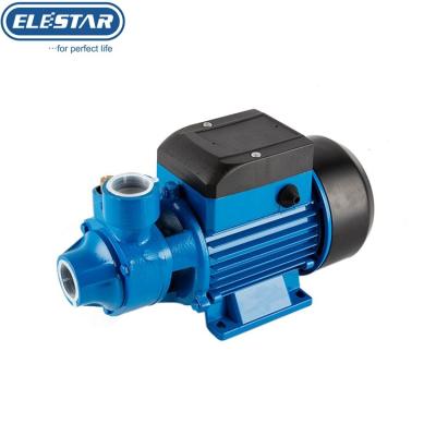 China Drinking Water Treatment Elestar QB70 Cast Iron Pump 220v 0.75hp Body Impeller Brass Peripheral Pump Electric Water Pump for sale