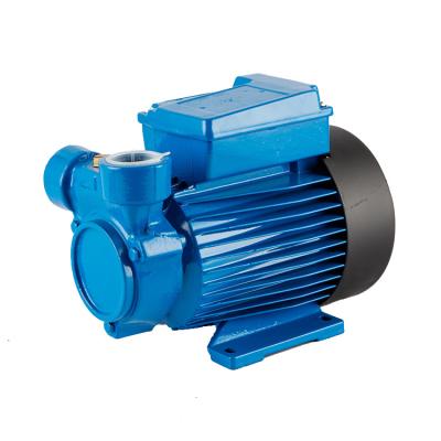 China Drinking Water Treatment Hot Sale Peripheral Pumps 1