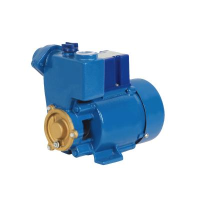 China Hot selling Elestar GP250A 0.5HP drinking water treatment electric vortex pump self-priming impeller brass peripheral pump electric surface water pump for sale