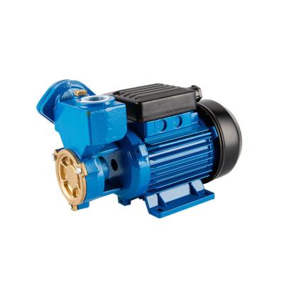 China Drinking water treatment WZ Series Self-priming Peripheral Pump with A Tank Surface Electric Water Pump or Pipeline Pressure Rise Water Pump for sale