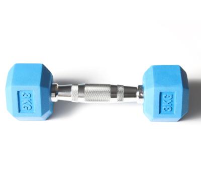 China Classic Universal Gym Logo Life Fitness Commercial Custom Dumbbells Round Rotating Fixed Steel Dumbbell for sale