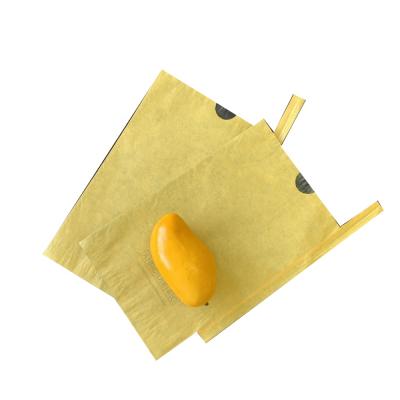 China Best Price Biodegradable Fruting Mango Grape Protector Kraft Paper Bag Water Proof Cover Growing Fresh Fruit Bags for sale