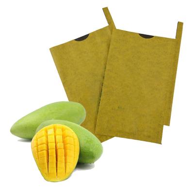 China Biodegradable Mango Bags Fruit Protection Paper Bags Mango Cover Bag For Covering Fruit for sale