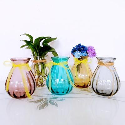 China Reuse Fashion Decor Glass Jar With Color Hyacinth Vase Home Modern Glass Flower Vase for sale