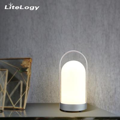 China Factory Wholesale Nordic Reading Sleeping Light Rechargeable Cordless Table Lamps for sale