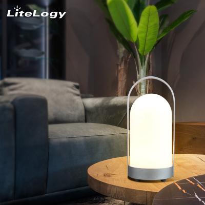 China 2021 High Quality Cordless Rechargeable Desk Lamps Decorative USB Table Light Lamp for sale