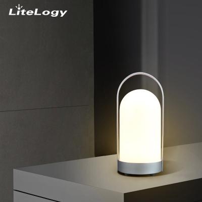 China Latesr Creative Aluminium Handle Portable Lantern Lamp Rotational Led Table Lamp Charging Night Light Reading Lamp for sale