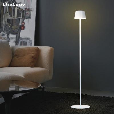 China Hotel restaurant bar coffee usb charging led wireless outdoor table floor lamps for sale