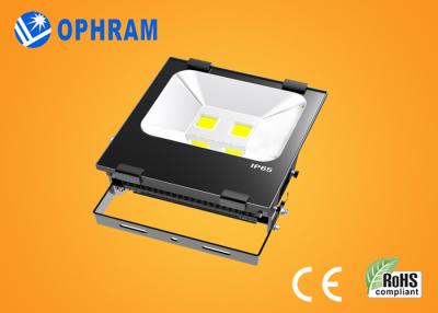 China 3000K / 4000K IP65 COB Outdoor 10 watt LED Flood Lights For Garden for sale