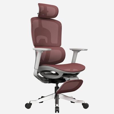 China Factory Direct Wholesale Luxury Nordic Ergonomic Office Training Chair Adjustable (Height) for sale