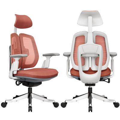 China Double (height) bifma mesh office adjustable mesh office chair manufacturer ergonomic back office chair for sale