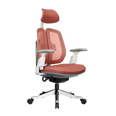 China Tanlin New PA Furniture Multifunctional Adjustable Back View Adjustable Headrest Mesh Office Chairs (Height) for sale