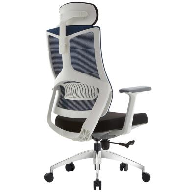 China (Height)Adjustable Special Hot Selling Fabric Seat Mesh Office Professional Durable Chair for sale