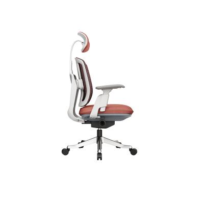 China Economical (Height) Adjustable Custom Design Luxury Adjustable Ergonomic Computer Chair for sale