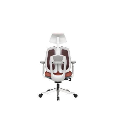 China (Height) Wholesale Customized Universal Adjustable Lightweight Computer Desk Chair Good Quality for sale