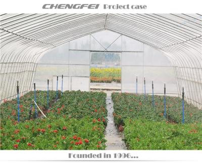 China Easy To Assemble And Stable Structure Low Cost Steel Frame High Tunnel Hot Galvanized Greenhouse for sale