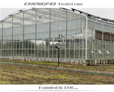 China No Welding Agriculture Multispan Greenhouse Venlo Glass Greenhouse Commercial Greenhouse For Cultivation for sale