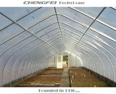 China Easy To Assemble And Stable Structure Durable Hydroponic Growing Systems Tunnel Greenhouse For Sale for sale