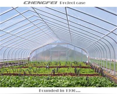 China Easy To Assemble And Agricultural Structure Low Cost Single-Span Film Greenhouse Stable Structure for sale