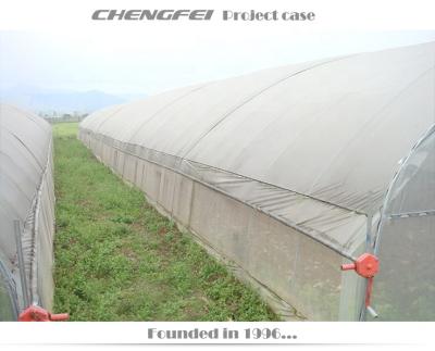 China Easy To Assemble And Stable Structure PEP Plastic Poly Tunnel Greenhouse For Sale for sale