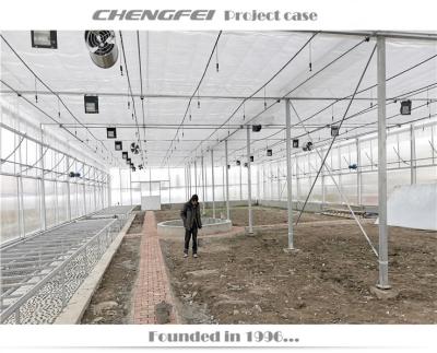 China Stable Structure Turnkey Projects Controlled Multi Span Greenhouse Vegetable Seed Polycarbonate Greenhouse for sale