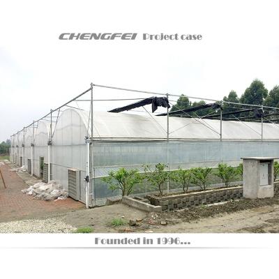 China Stable Structure Agricultural Plastic Film Greenhouse With Arch Roof for sale