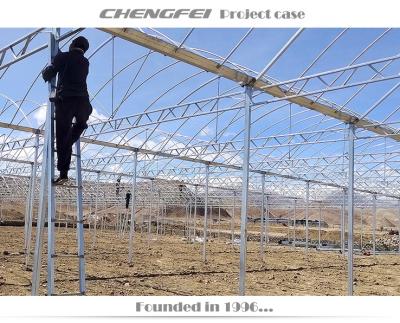 China Stable Structure ChengFei Small Price Custom Designed Plastic Film Greenhouse for sale