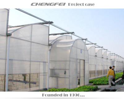 China Stable Structure Chengfei Plastic Film Greenhouse Complete Structure For Agricultural for sale