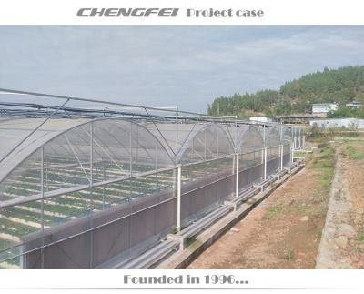 China Factory Stable Circle Structure Steel Frame Plastic Sheet Hot Galvanized Greenhouse for sale