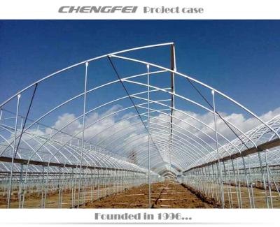 China Agricultural Stable Structure Ventilate Sawtooth Greenhouses Structure With Hydroponic System for sale