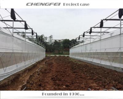 China Greenhouse-Agricultural Plastic Structure Insect Net Greenhouse-Multi-span Stable Price For Sale for sale