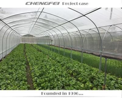 China Stable Poly Structure Easy Set Economical Multi Tunnel Agricultural Greenhouses For All Bays for sale