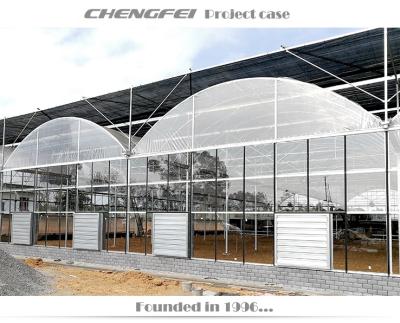 China No Welding Vegetable Systems Hydroponic Agriculture Equipment Multi-span Glass Greenhouses for sale