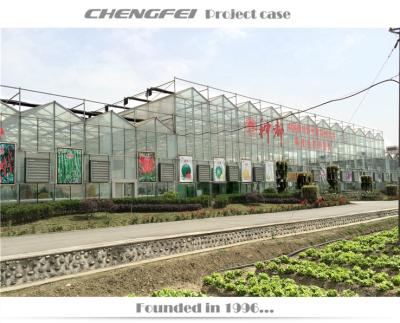 China No Welding Large Commercial Glass Greenhouse With Control System Sale for sale