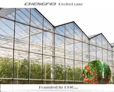 China No welding agriculture commercial invernadero multi-span venlo glass greenhouses for tomato for sale