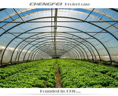 China Easy To Assemble And Stable Structure Cheap Vegetables Tunnel Greenhouse Chengfei Tunnel Green House for sale