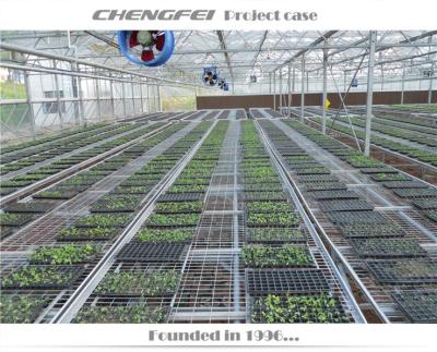 China Stable Structure Multi Span Polycarbonate Sheet Greenhouse Manufacturer Intelligent Greenhouse Plant Grow Used Greenhouses For Sale for sale