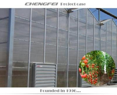 China Large Stable Structure Tomato PCB Greenhouse Structure With Hydroponic System for sale