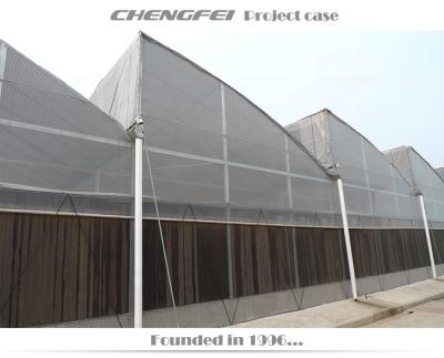 China Stable Structure Cheapest And Easily Installed Multi Span Green House Agricultural Commercial Frame for sale