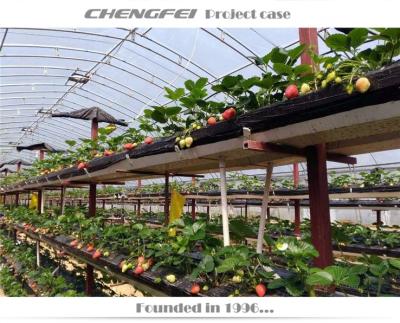 China Solid Structure Chengfei Drip Irrigation System For Horticultural Greenhouse for sale