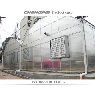 China Stable Structure Mini Type PC Greenhouse for sale