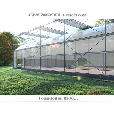 China Agriculture / Display Pep Film For Greenhouse Cover With Durability for sale