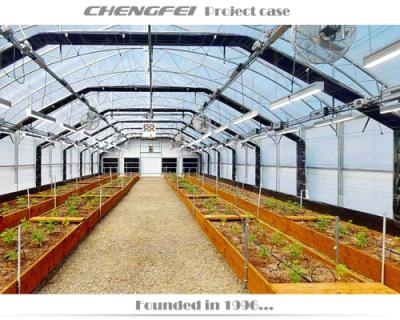 China Easy To Assemble And Stable Steel Structure Greenhouse Deprivation Four Season Lightweight Steel Greenhouse Automated Blackout Greenhouse for sale