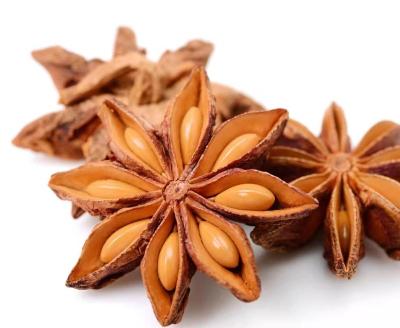 China Non-pollution Food Spices Dry Good Quality China Star Anise for sale