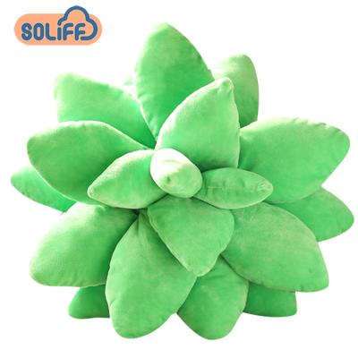 China Mondern Custom Simulated Succulent Plants Pillow Decorative Succulent Pillow for sale