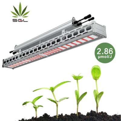 China Seed Starting High Power Customized Indoor Plants Greenhouse 1000w Led Grow Lights For Flowering Stage for sale