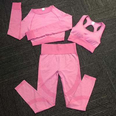 China Antibacterial 3 Piece Fitness And Yoga Wear Set Seamless Waisted Compression Gym Wear Suits Women Tops for sale