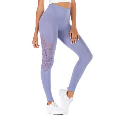 China Sanzhi Antibacterial Unique Design Seamless Running Sports Leggings Dry Fit Yoga Sports Wear Leggings for sale